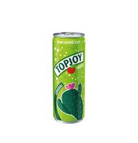 Topjoy 0,33l Szénsavas Kaktusz CAN 