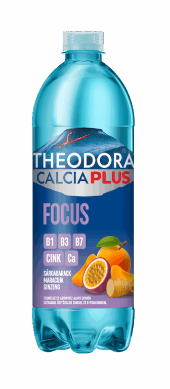 Theodora Calcia Plus 0,7l PET Focus  DRS