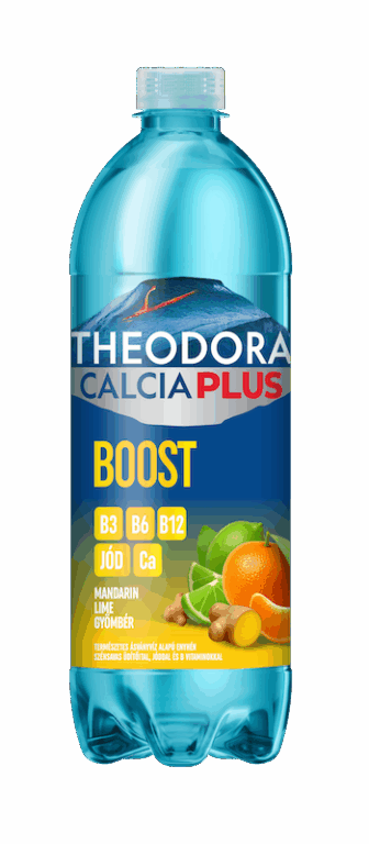 Theodora Calcia Plus 0,7l PET Boost  DRS