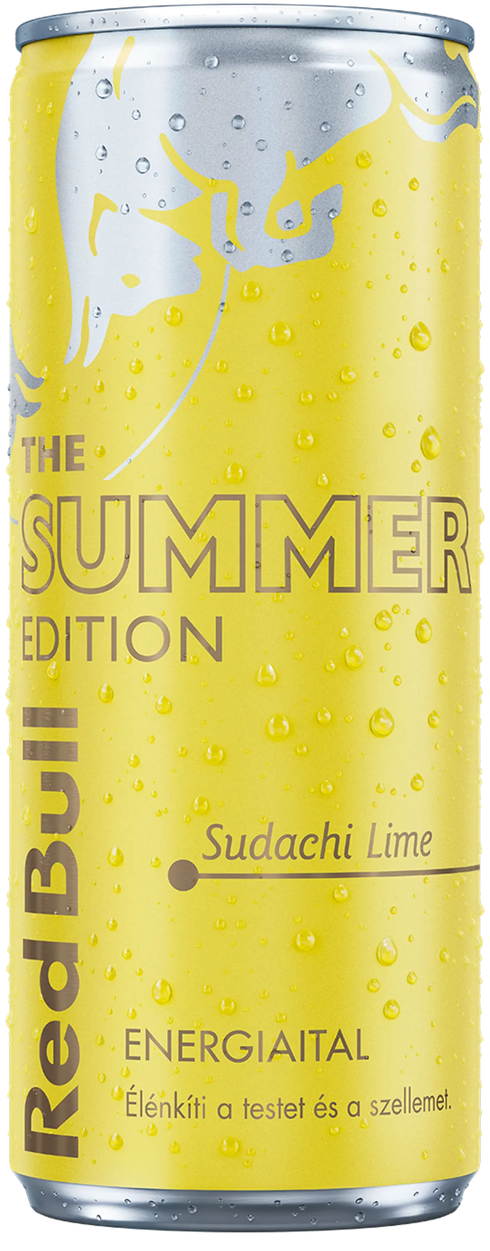 Red Bull Summer Edition Sudaci Lime 250ml  DRS